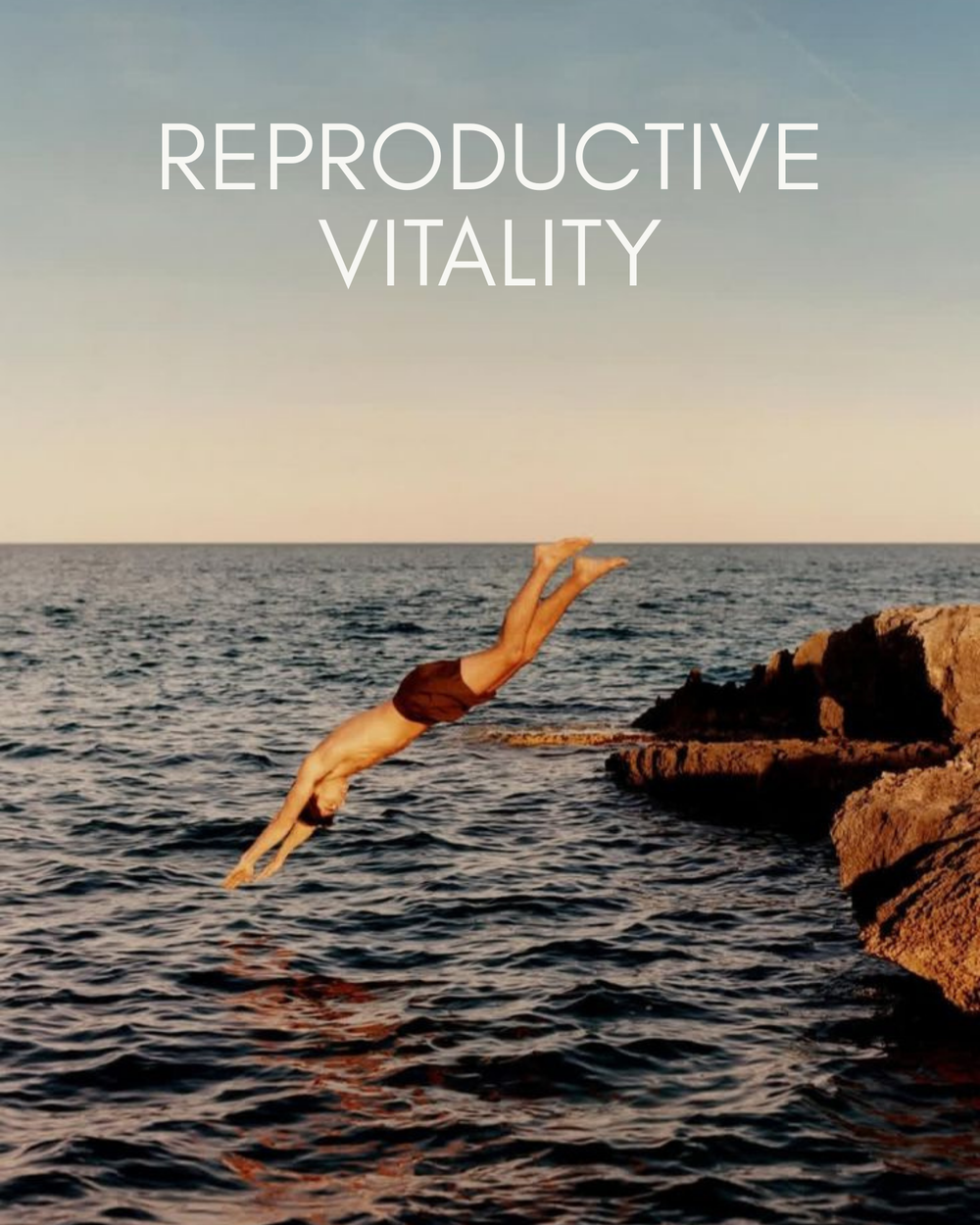 Reproductive Vitality