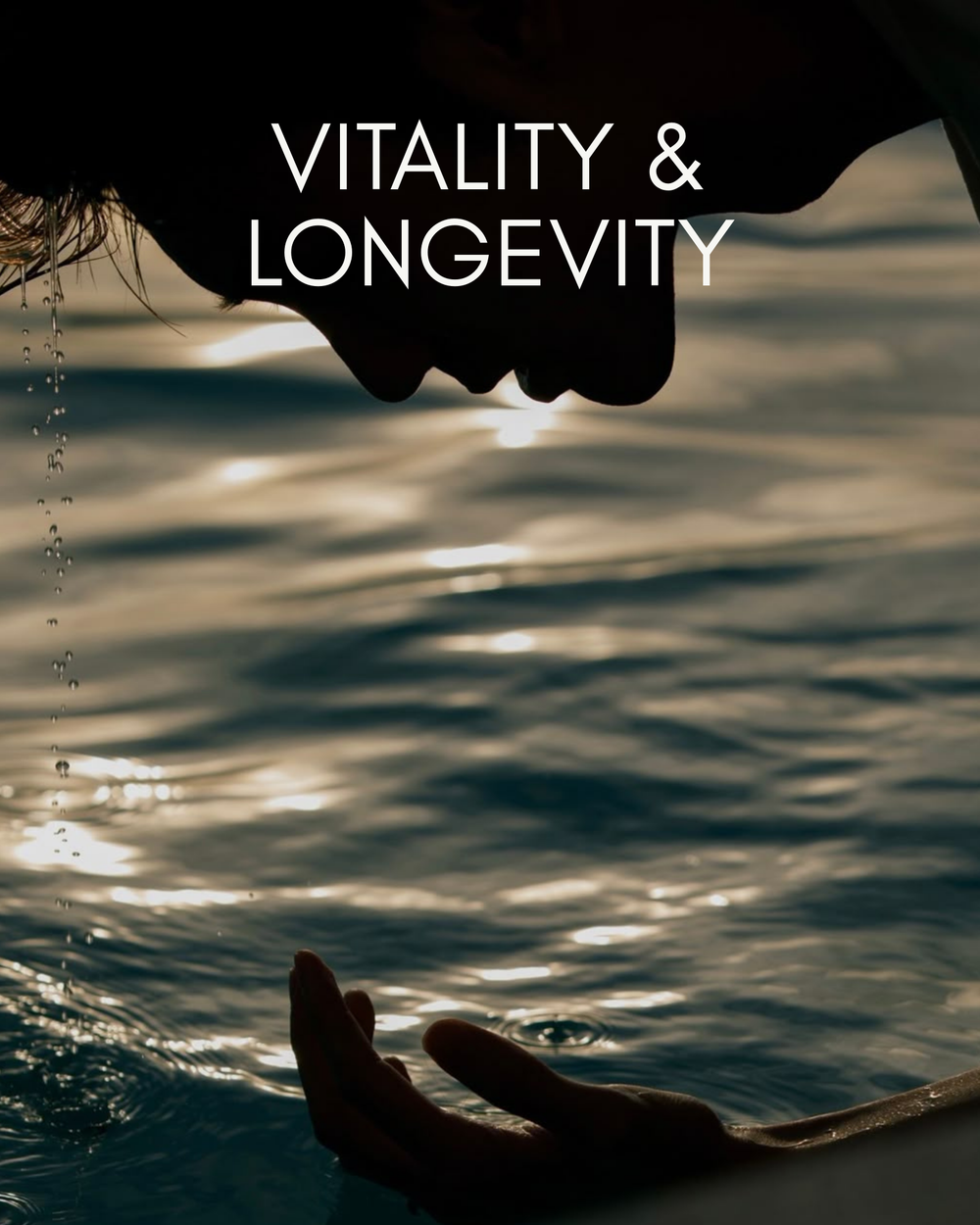 Vitality & Longevity