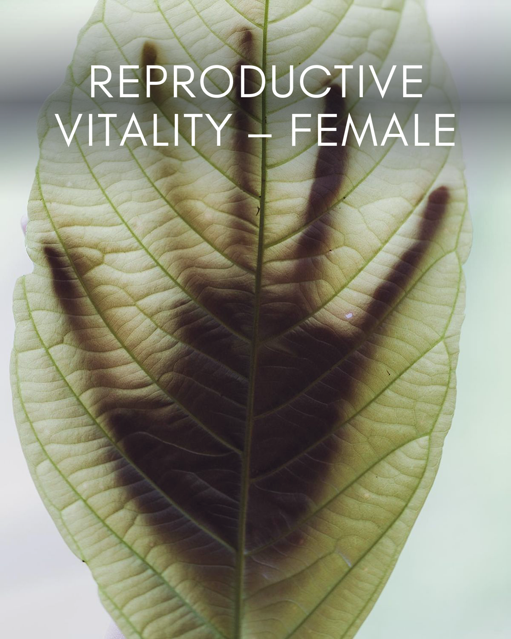 Reproductive Vitality - Female
