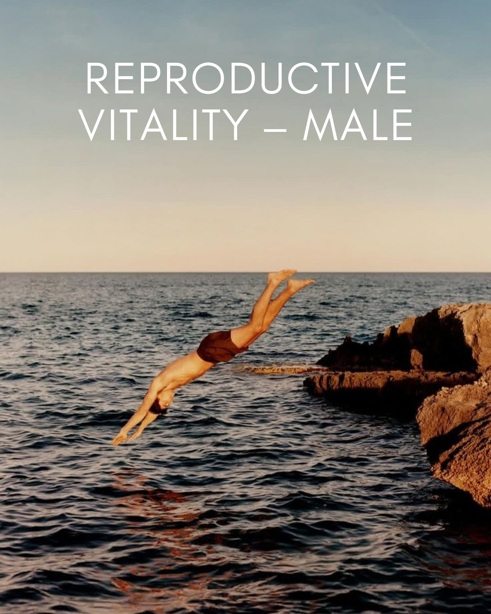 Reproductive Vitality - Male