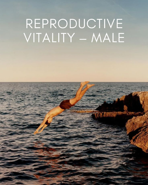 Reproductive Vitality - Male
