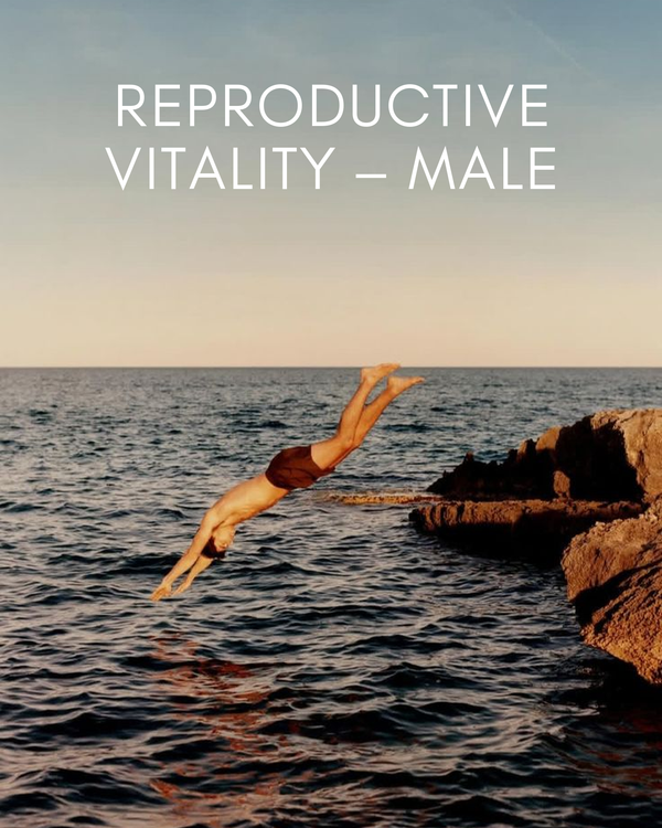 Reproductive Vitality - Male